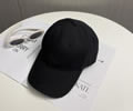 LOEWE Cap With box best quality 1:1