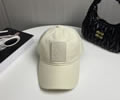 LOEWE Cap With box best quality 1:1