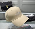 The north face Cap With box best quality 1:1