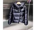 Louis Vuitton Women DOWN Jacket Best quality 1��1