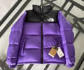 THE NORTH FACE 1996 DOWN Lovers Jacket best quality