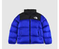 The North Face 1996 Nuptse Lovers DOWN Jacket 80%down