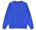 Ralph Lauren Mens Hoodies best quality