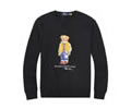 Ralph Lauren Mens Hoodies best quality