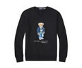 Ralph Lauren Mens Hoodies best quality