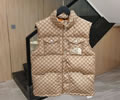 THE NORTH FACE x GUCCI Lovers vest Down