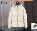 DIOR Mens Down Jacket Best quality