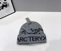 ARCTERYX Knit cap