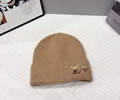 Louis Vuitton Knit cap LV