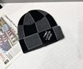 Louis Vuitton Knit cap LV