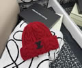 Louis Vuitton Knit cap LV