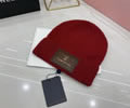 Louis Vuitton Knit cap LV