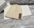 LOEWE Knit cap