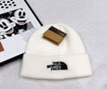 The north face Knit cap