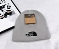 The north face Knit cap
