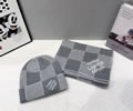 LV Winter Scarves and Cap and Set