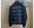 LV Down Mens Jacket best quality