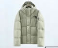 THE NORTH FACE dryvent Mens DOWN Jacket