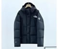 THE NORTH FACE dryvent Mens DOWN Jacket