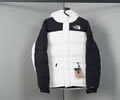 The North Face TNF Mens DOWN Jacket best quality