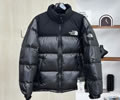 The North Face TNF 1996 Lovers DOWN Jacket