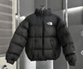 The North Face TNF Vintage 90s Lovers DOWN Jacket