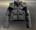 THE NORTH FAC Womens Down Jacket
