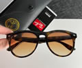 RAYBAN size 54-17-138 best quality 1:1