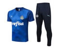 Short Training suit men