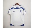 2004 Greece home retro soccer jersey