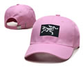 ARCTERYX Cap