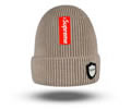Supreme winter cap