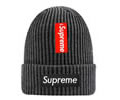Supreme winter cap