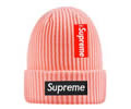 Supreme winter cap