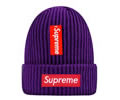 Supreme winter cap