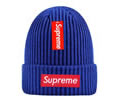 Supreme winter cap