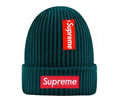Supreme winter cap
