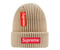 Supreme winter cap