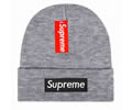 Supreme winter cap