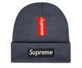 Supreme winter cap