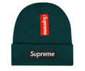 Supreme winter cap