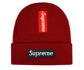 Supreme winter cap