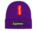 Supreme winter cap