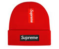 Supreme winter cap