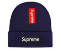 Supreme winter cap