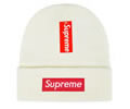 Supreme winter cap