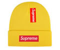 Supreme winter cap