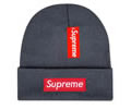 Supreme winter cap