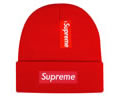 Supreme winter cap