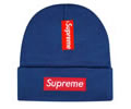 Supreme winter cap